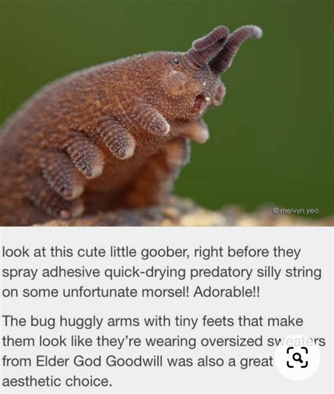 Two brand-new sentences found in one corner of the Internet! : r/BrandNewSentence