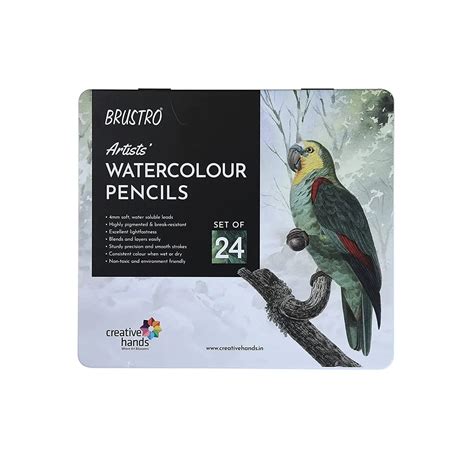 Buy Brustro Artists Watercolour Pencil Sets