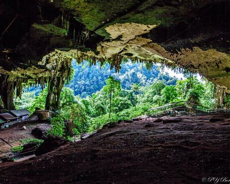 THE 30 BEST Places to Visit in Miri (2026) - Must-See Attractions