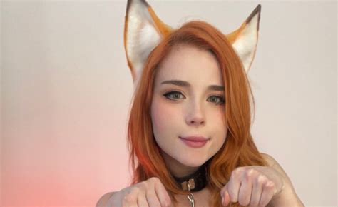 Image result for Fox in Python Code