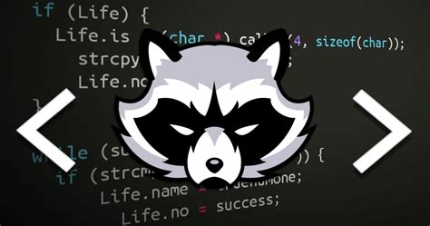 Image result for Increment Python