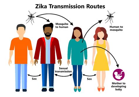 Preventing The Spread Of Zika Virus Disease - Ask The Nurse Expert