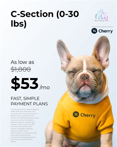 Hermosa Veterinary Clinic (@hermosavetclinic) • Instagram photos and videos