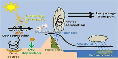 Dust Particles 的图像结果