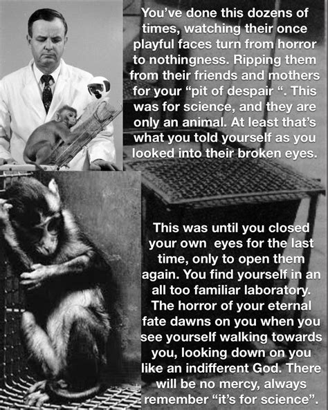 1971 Pit of Despair Experiment Dr.Harlow : r/distressingmemes