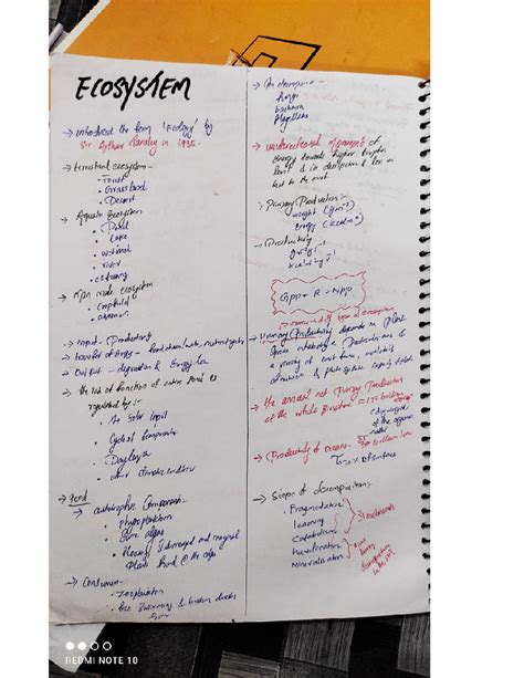 Ecosystem short note class 12 - Biology Handwritten Short Notes - Studocu