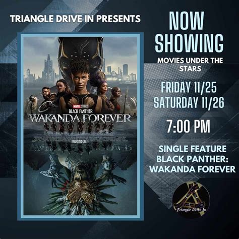 Triangle Drive-In: Black Panther-Wakanda Forever - Triangle on the Cheap