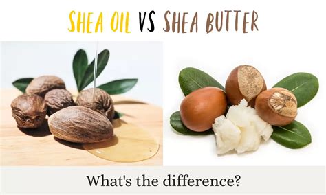 Shea Oil vs Shea Butter: Key Differences Explained - The Coconut Mama