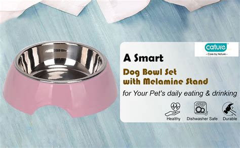 Cature Care by Nature 2 in 1 Feeder Bowl | Melamine and Stainless Steel ...
