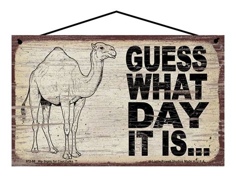 Camel Hump Day Meme