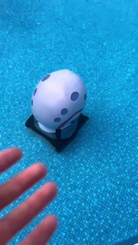 Image result for Gary Shell Side