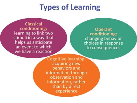 Image result for Classical Conditioning Learning