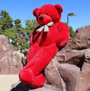 MOSU 5 Feet Red Teddy Bear07 - 20 cm - 5 Feet Red Teddy Bear07 . Buy ...