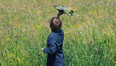 RC Plane Blog 的图像结果