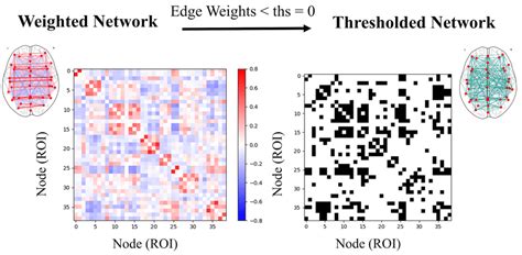 Image result for Connectivity Matrix