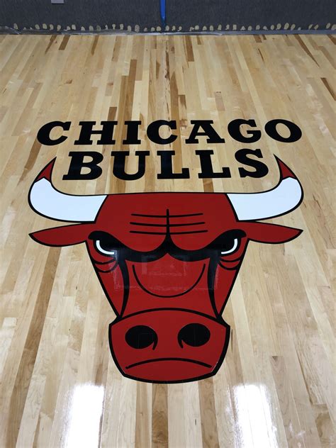 Chicago Bulls Floor Logo Chicago Bulls Dennis Rodman Michael Jordan