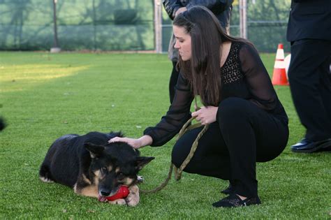 Fort Huachuca pays respect to fallen K-9 Unit Soldier | Article | The ...