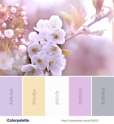 Blossom Color Schemes – Limmerkoll