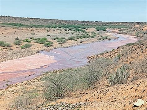 Chemical-laden water discharged into the black river of Pandhar ...