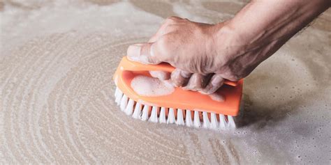 How To Remove Dog Urine Stains From Concrete