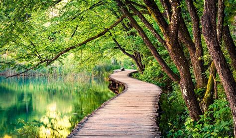 India's First Mangrove Park To Soon Open In Gorai & Here's What You Can ...