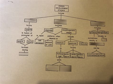 Image result for Direct Development