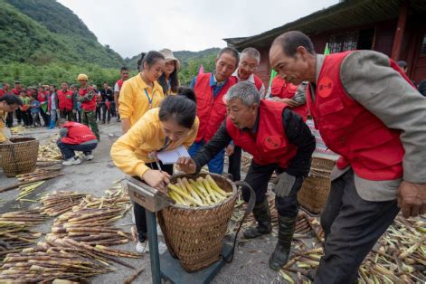 重庆：农民夫妻大山深处采佳肴-人民图片网