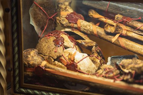 Holy Relics 的图像结果