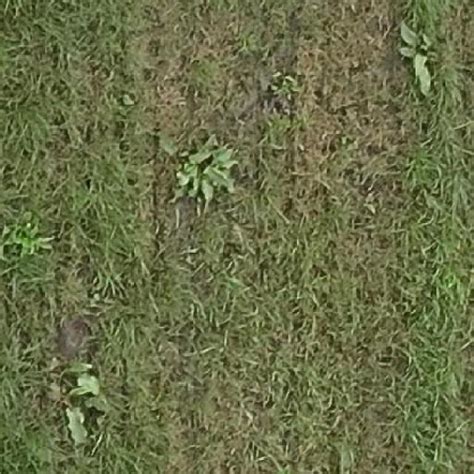 Image result for Arduino Weed Identifier Python