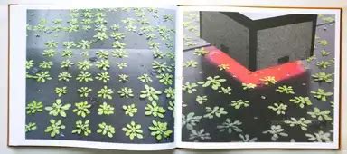 Jos Jansen - Seeds - On the Origin of Food Crops, The Eriskay ...