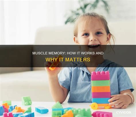 Image result for Muscle Memory Examples