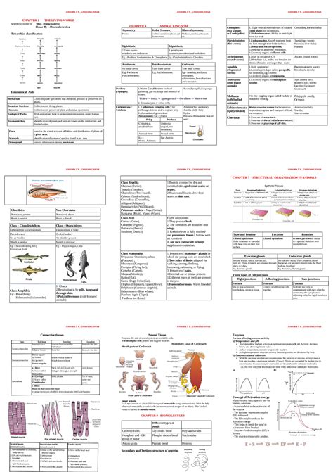 Ps doc 221026 1845 - Worksheet - Engineering Mathematics I - Studocu