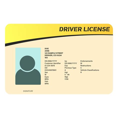Free Printable Drivers License Template