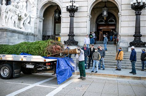 Pa. Capitol Christmas tradition returns with the arrival of a tree in ...