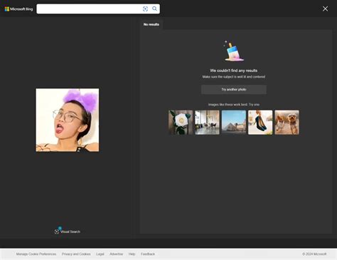 Bing Search Engine Women 的图像结果