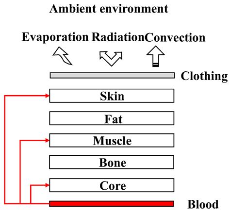 Integrated Thermofluid Lumped Parameter Model for Analyzing ...