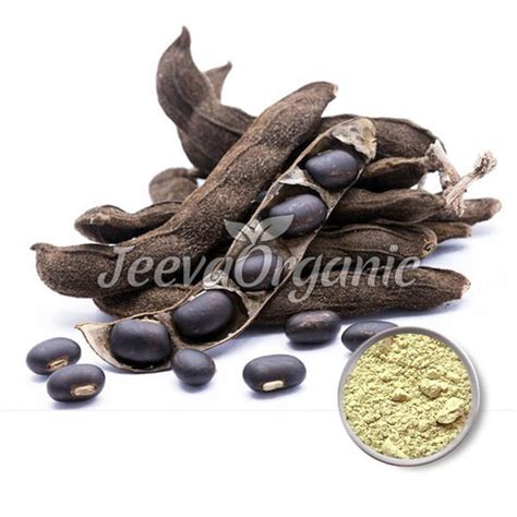 Best Bulk Herbal Powder Supplier – Page 2