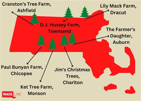 Here are the best Christmas tree farms in Mass., according to readers ...