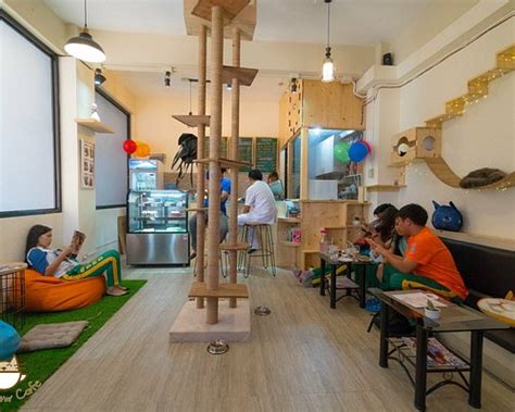 THE BEST Places to Visit in Kabacan (2025) - Must-See Attractions