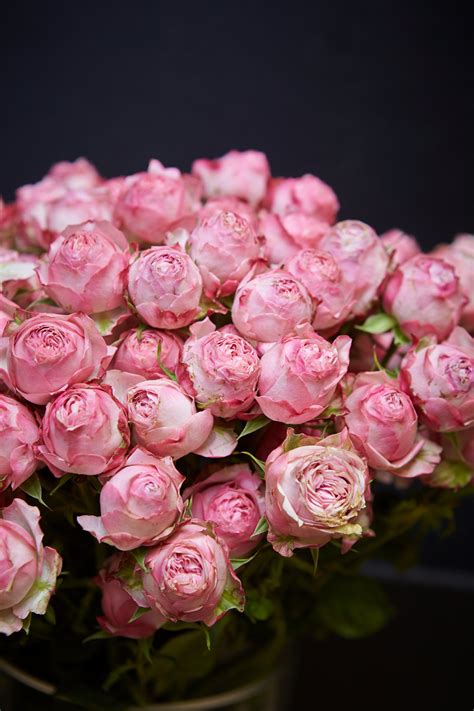 Livraison de Roses & Click and Collect, Saint-Sébastien-sur-Loire