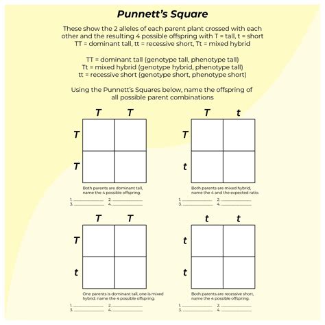 Blank Punnett Square