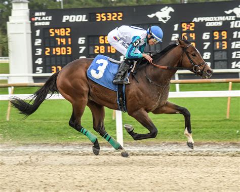 DEREK RYAN CERTAIN BOOK’EM DANNO WILL BE HEARD FROM AGAIN | Tampa Bay Downs