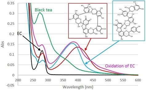 Structure Determination of Novel Oxidation Products from Epicatechin ...