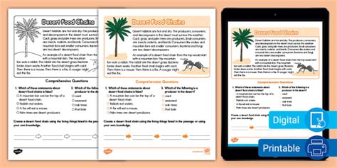 Second Grade Desert Food Chains Reading Passage Comprehension Worksheet