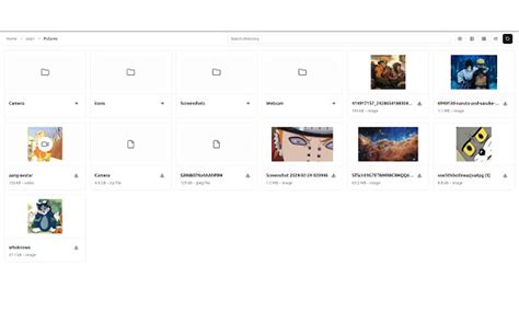 Files Explorer 的图像结果