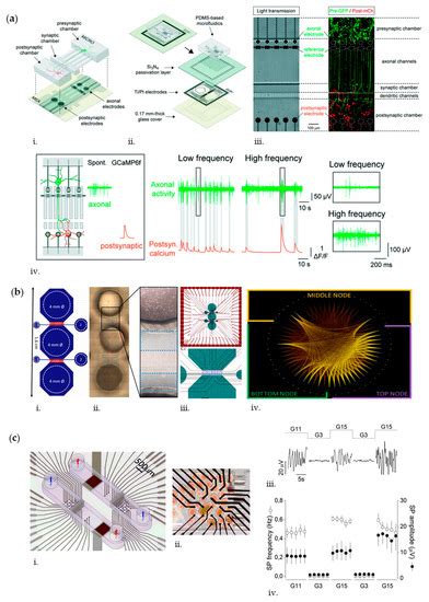 Biosensors | Special Issue : Organ-on-a-Chip for Biosensing