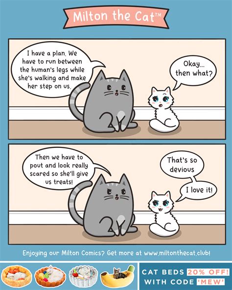 Image result for Scared Running Scratch Cat