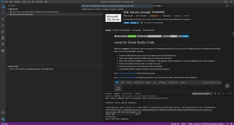 vs Code SQL Database 的图像结果