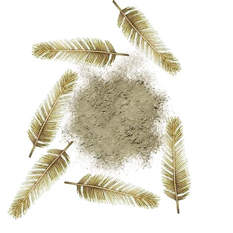 public - Revision 28254: /ps/trunk/binaries/data/mods/public/art ...