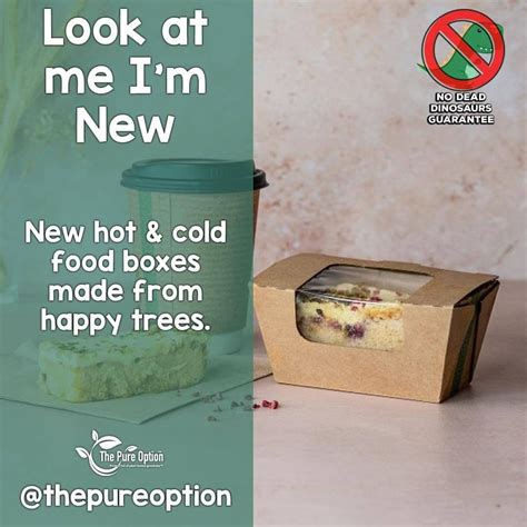 The Pure Option News